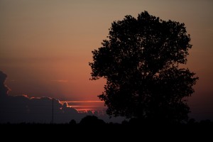 Foto: Henrik Johansen